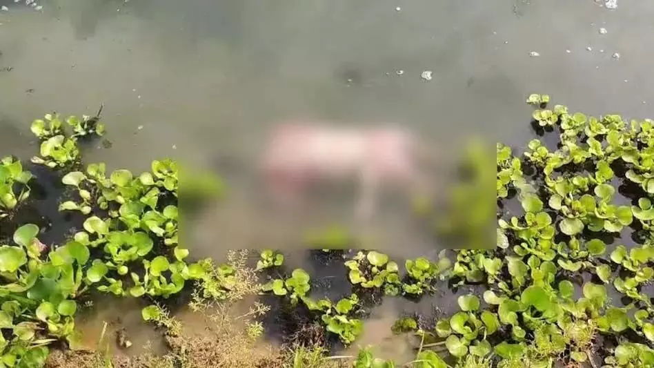 मोरीगांव जिले में एक व्यक्ति का शव तैरता हुआ मिला