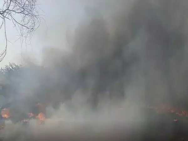 संगारेड्डी जिले में स्क्रैप गोदाम में लगी आग