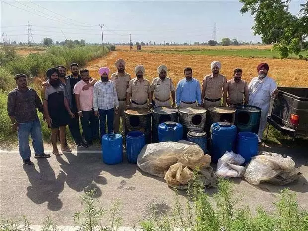 सतलुज नदी के किनारे के गांवों से 1.1 लाख लीटर लाहन बरामद