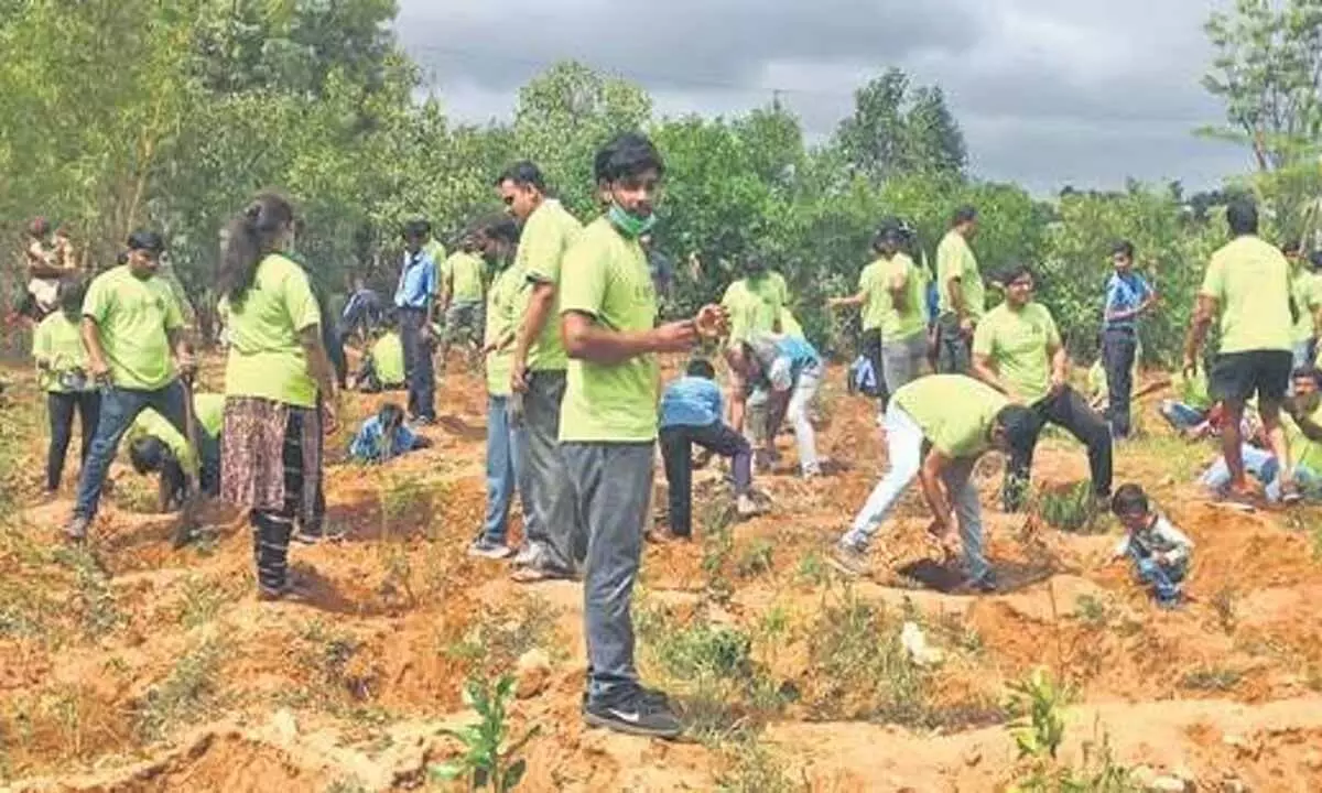 अत्यधिक गर्मी के बीच बेंगलुरु की गंगाशेट्टी झील में 500 से अधिक पौधे बचाए गए