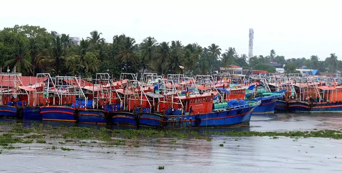 मछली पकड़ने पर प्रतिबंध: मरम्मत की लागत, बढ़ते ऋण तमिलनाडु में मछुआरों को परेशान कर रहे