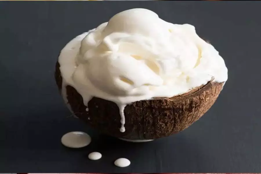 आसानी से बनाएं टेंडर नारियल की सुपर क्रीमी आइसक्रीम