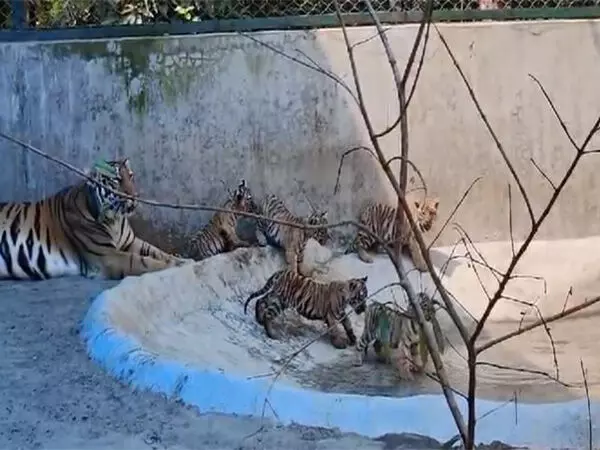 नॉर्थ बंगाल वाइल्ड एनिमल्स पार्क ने जानवरों को लू से बचाने के लिए किया उपाय