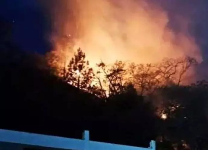 जंगल की आग से चंडीगढ़ में दहशत