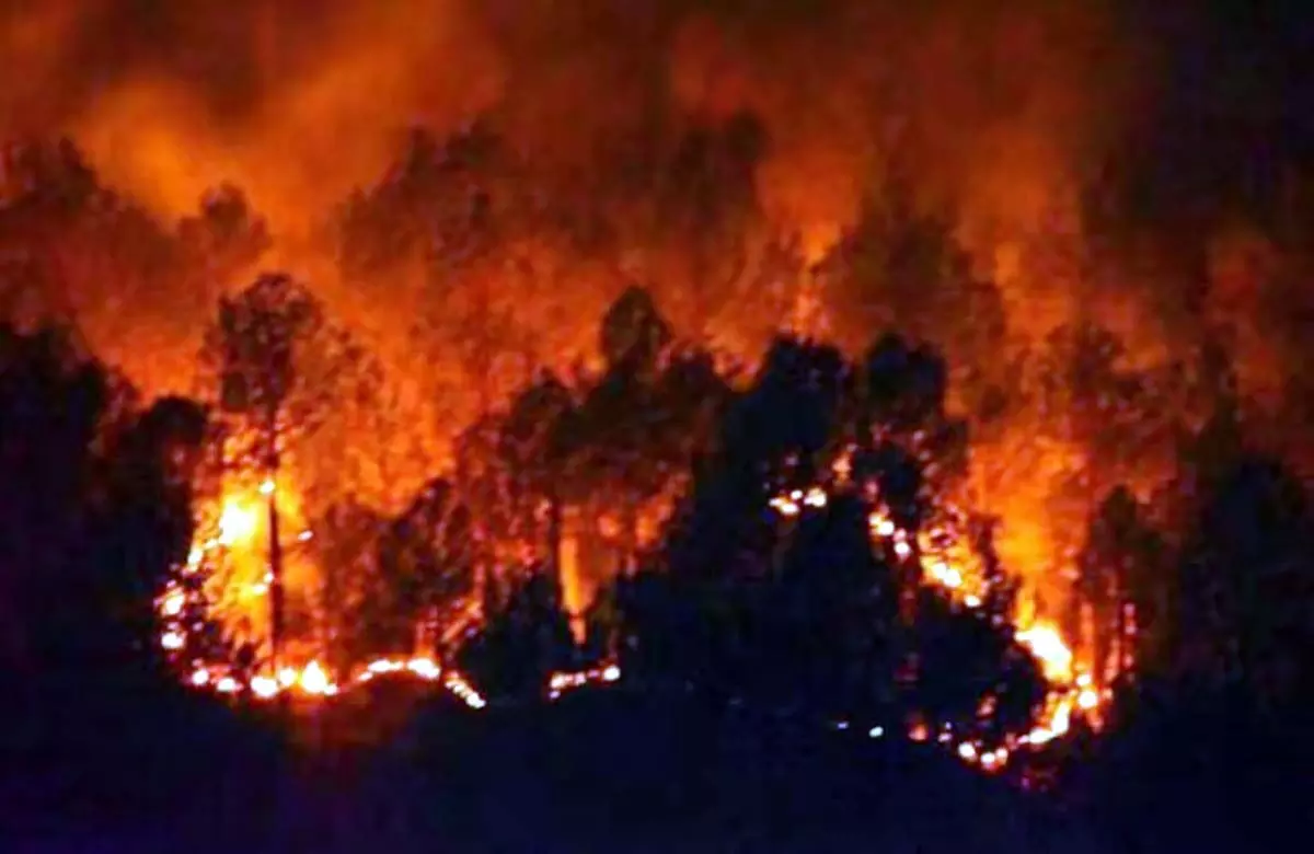 जंगल में आग लगने की घटनाएं लगातार बढ़ रही,16 घंटे तक धधकते रहे नैनीताल के जंगल