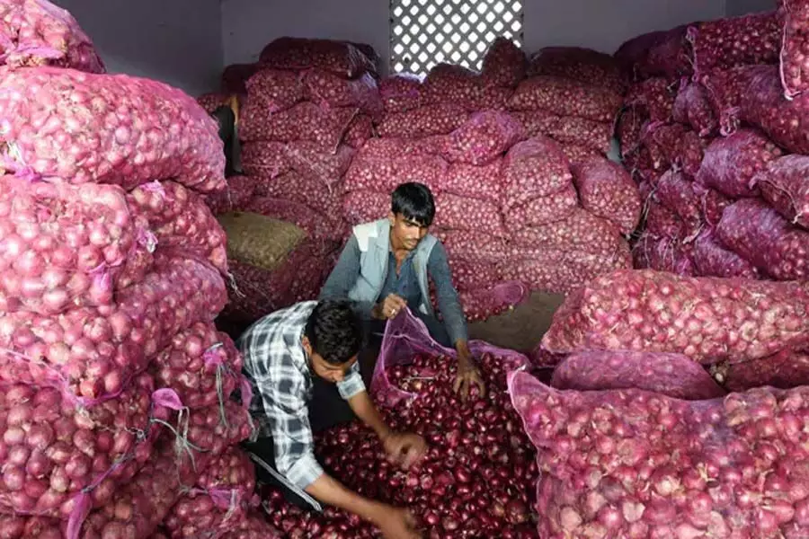 भारत ने प्याज निर्यात पर से प्रतिबंध हटाया, न्यूनतम निर्यात मूल्य