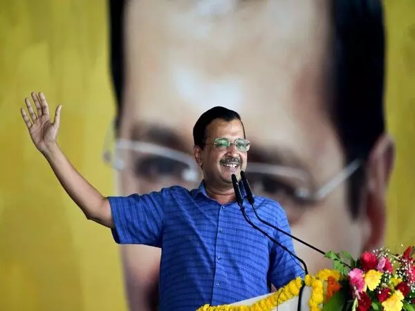 दिल्ली में AAP के 40 स्टार प्रचारकों में सीएम अरविंद केजरीवाल भी शामिल