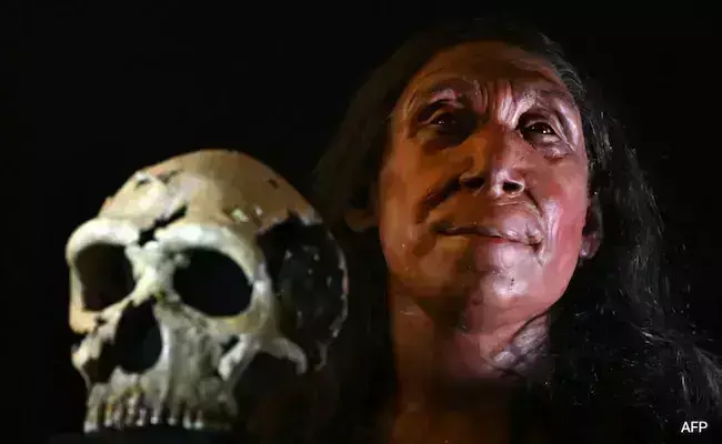 ब्रिटेन के शोधकर्ताओं ने 75,000 साल पुरानी निएंडरथल महिला का चेहरा फिर से बनाया