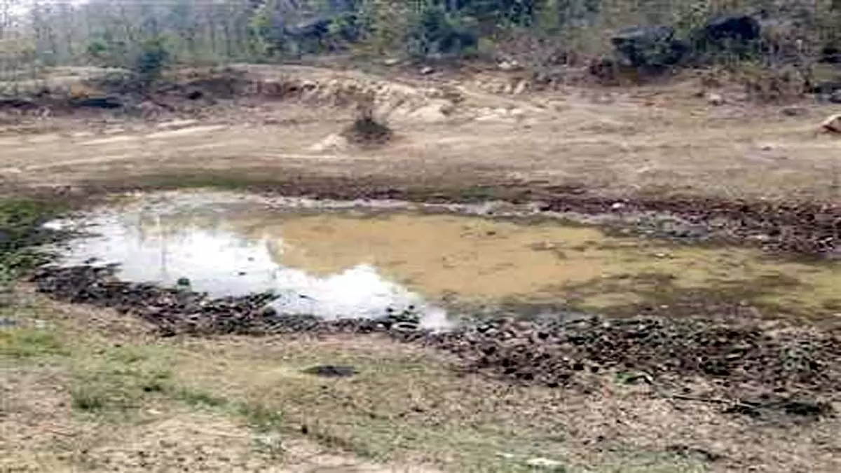 गिरिडीह में गर्मी से नदी-तालाब सूखे, पशुओं को नहीं मिल पा रहा पीने का पानी