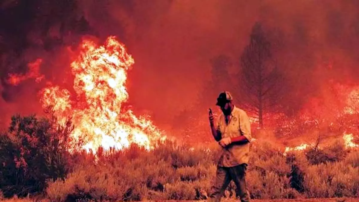 जंगल की आग से झुलसने चौथी श्रमिक ने तोड़ा दम, अब तक पांच की मौत