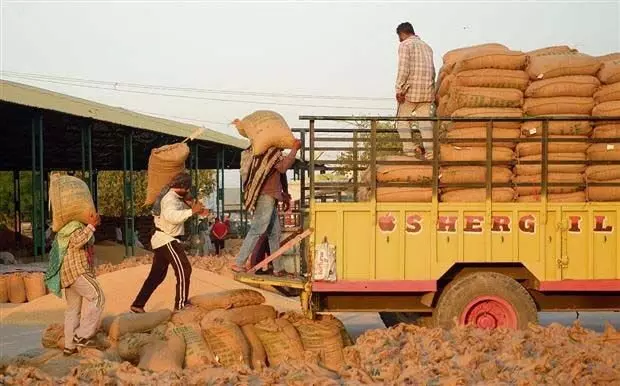 किसानों को 918 करोड़ रुपये वितरित