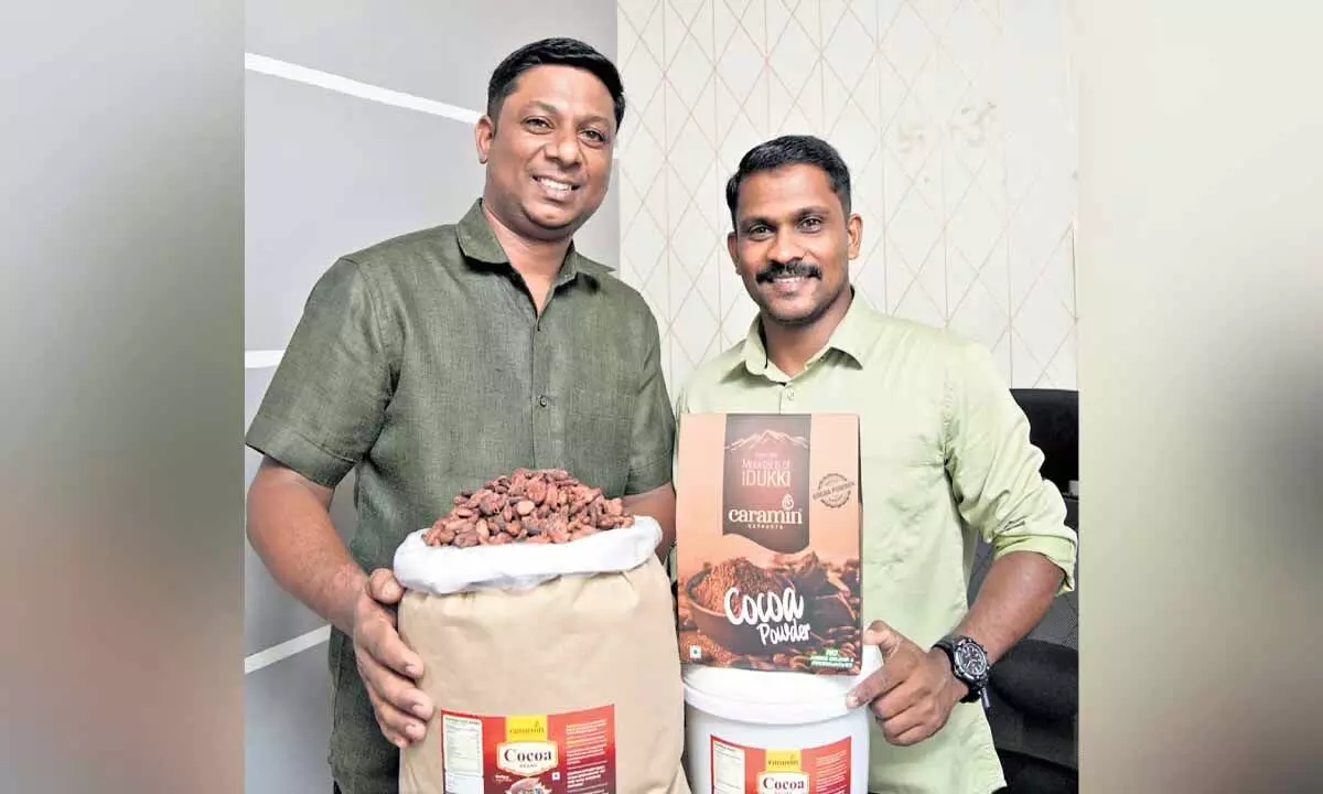 केरल में कोको की कीमत 1 हजार रुपये के पार, किसान इंतजार करें