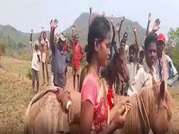 विशाखापत्तनम में आदिवासियों ने घोड़ों पर यात्रा कर विरोध जताया, पहले सड़कें, फिर वोट