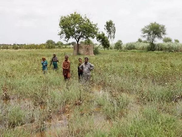 गेहूं संकट के बीच पाकिस्तान के किसानों ने 10 मई से देशव्यापी विरोध प्रदर्शन की घोषणा की