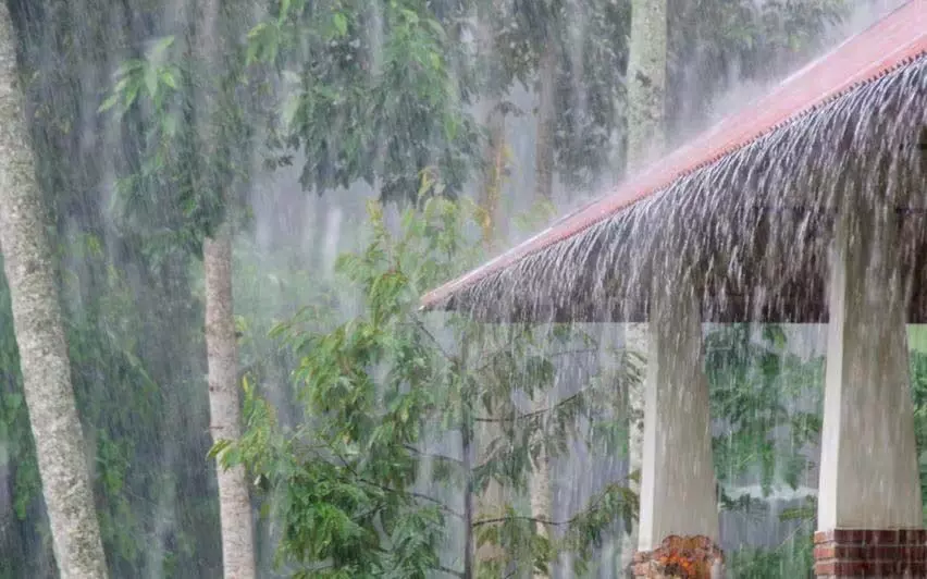 ग्रीष्मकालीन बारिश अपडेट: केरल के 3 जिलों में पीला अलर्ट