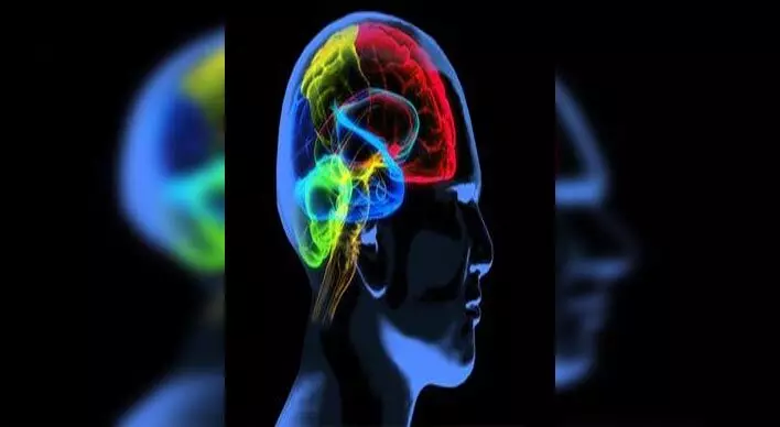 मस्तिष्क पर नकारात्मक प्रभाव डाल सकता है अस्थमा: विशेषज्ञ
