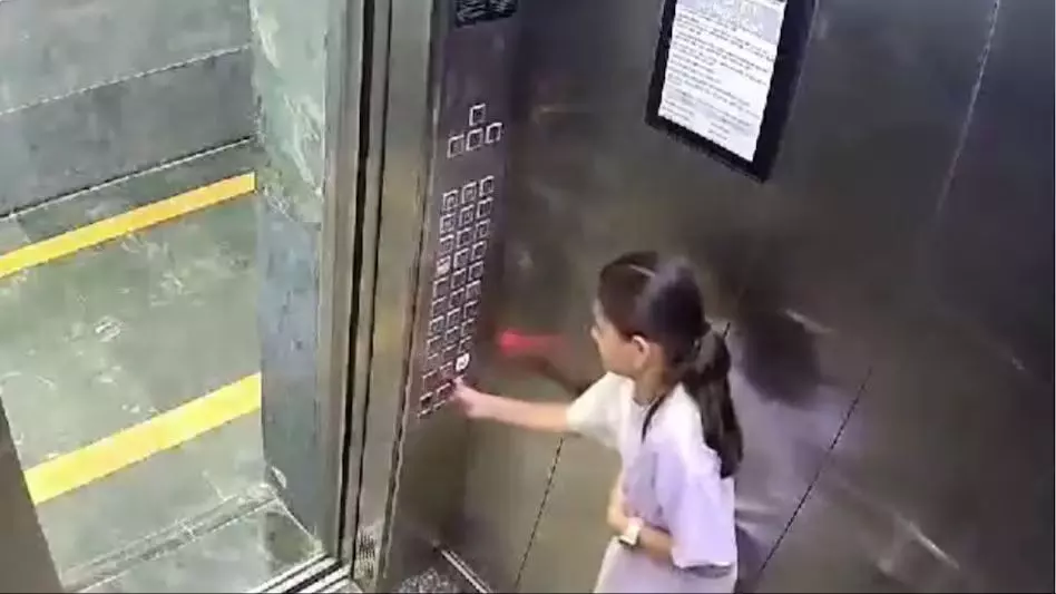 लिफ्ट में कुत्ते ने बच्ची को काटा, नामी सोसायटी में कटा बवाल