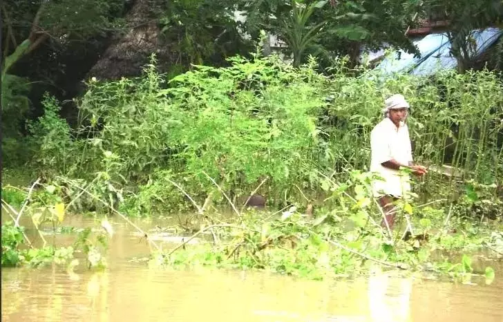 मंगलवार की बेमौसम बारिश ने तेलंगाना में कहर बरपाया, 10 की मौत