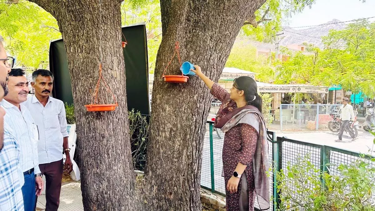 प्रत्येक गांव व कस्बे में पशु-पक्षियों के लिए की जायेगी चारा व दाना-पानी की व्यवस्था