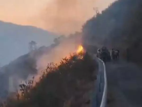 उत्तराखंड वन विभाग स्थानीय परंपराओं, लोगों की मदद से जंगल की आग को रोकने के प्रयासों पर ध्यान केंद्रित कर रहा