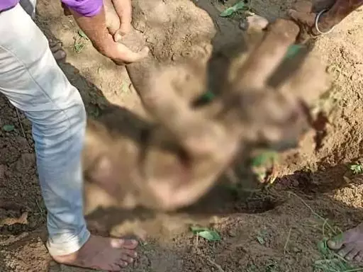 हत्या के बाद लाश को जमीन में गाड़ा, पुलिस ने खोद निकाला