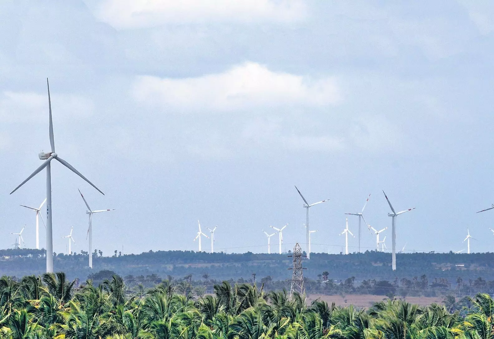 टीएन में अधिक पवन ऊर्जा से टैंगेडको को इस वर्ष लागत में कटौती करने में मदद मिल सकती है