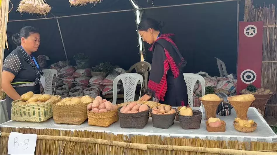 नागालैंड राज्य ने पहला आलू महोत्सव मनाया, इसका उद्देश्य जैविक उपज का जश्न मनाना