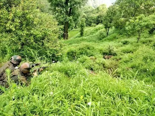 जम्मू-कश्मीर के पुंछ में सुरक्षा बलों और आतंकवादियों के बीच गोलीबारी