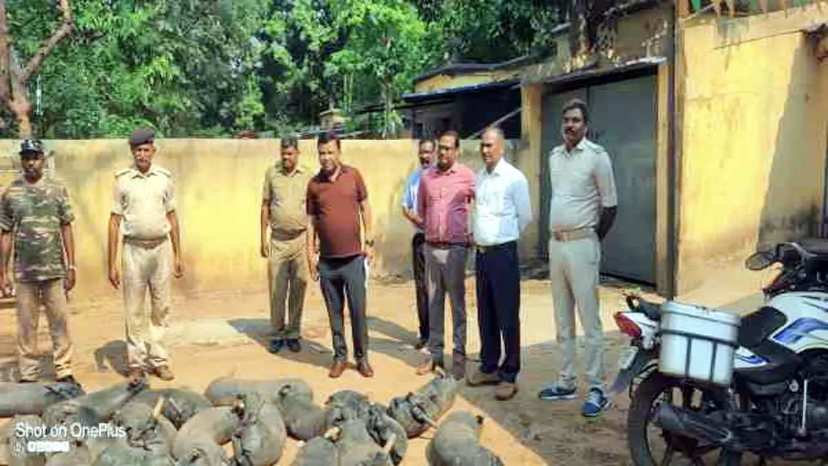 अंतर्गत काशीडीह गांव के जंगलों में उत्पाद विभाग ने छापेमारी कर भारी मात्रा में महुआ शराब जब्त