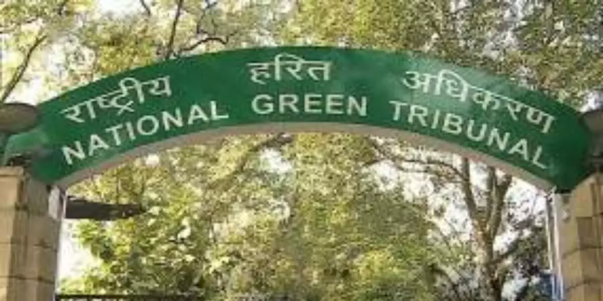 ओडिशा में एनजीटी ने रेल ट्रैक परियोजना के लिए मोरम, मिट्टी निकालने पर प्रतिबंध लगाया