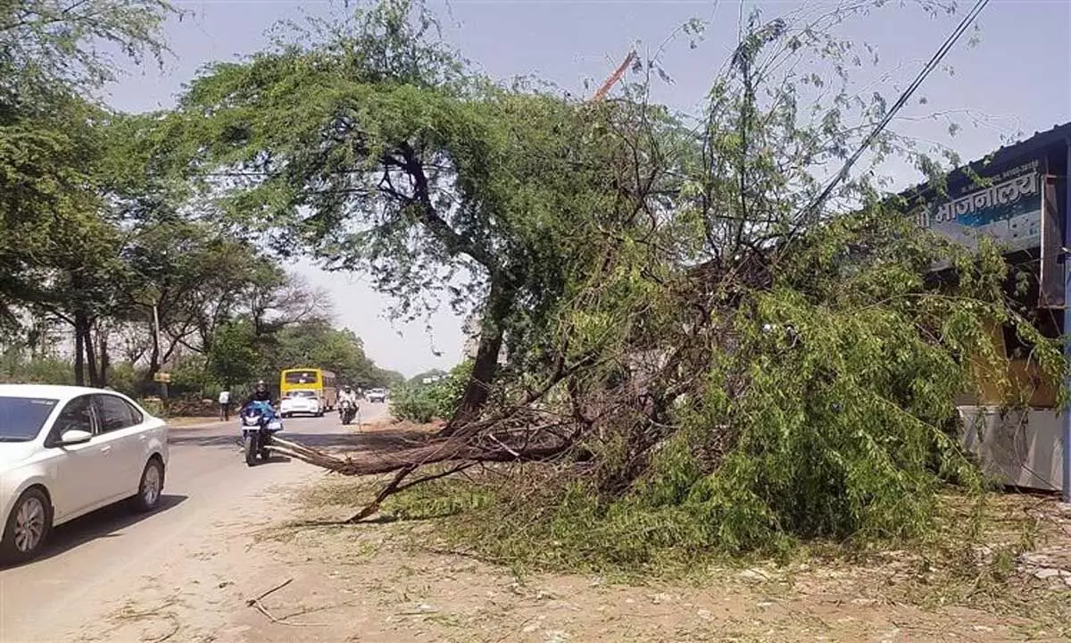 तूफ़ान ने तबाही मचाई, बिजली गुल होने से जनजीवन अस्त-व्यस्त हो गया