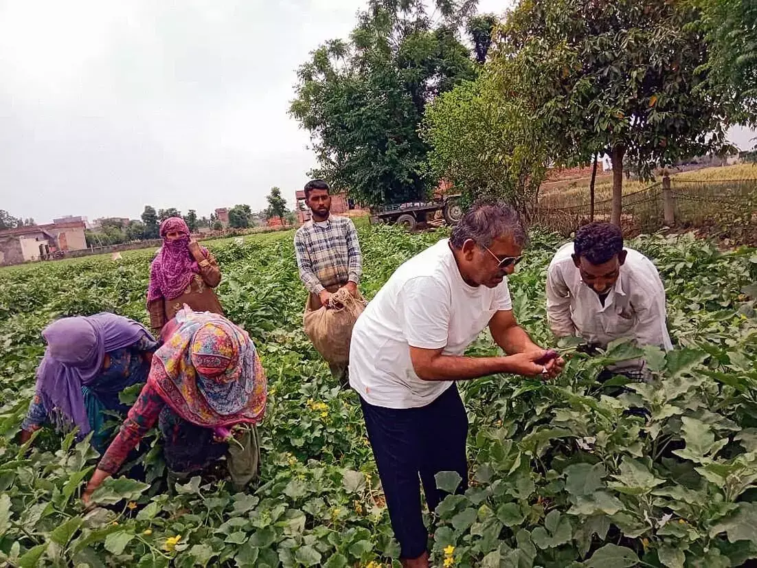 मूसेवाला के माता-पिता नवजात शिशु के साथ स्वर्ण मंदिर गए