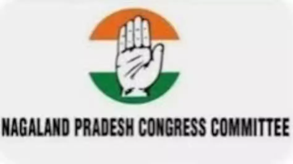 नागालैंड प्रदेश कांग्रेस कमेटी ने सैम पित्रोदा की उपमाओं को खारिज किया