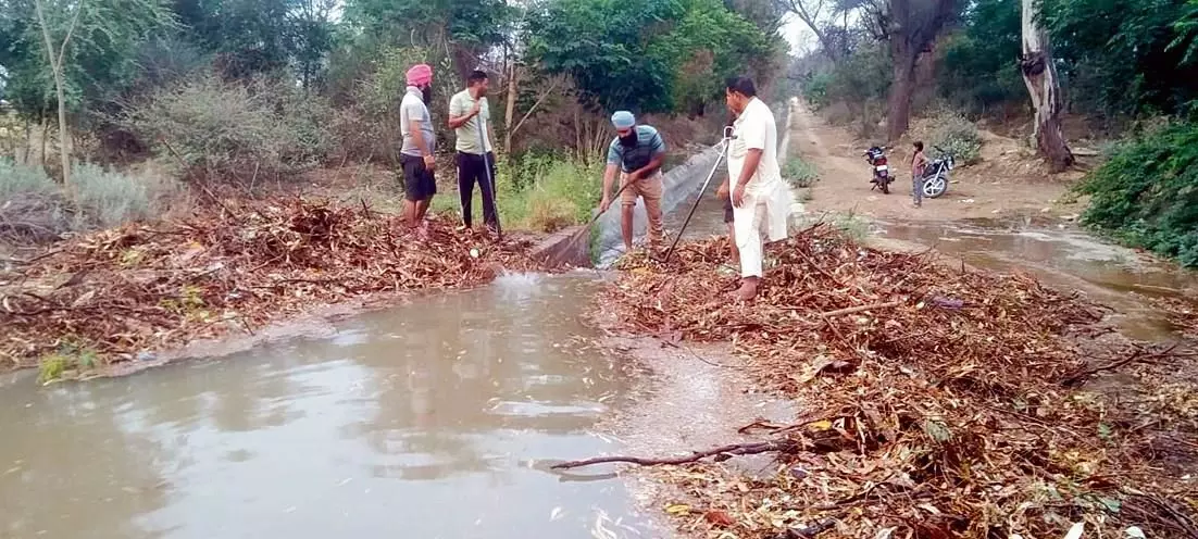 आंधी के कारण सूखे पेड़ों से नहरें अवरुद्ध हो गईं, दरार टली