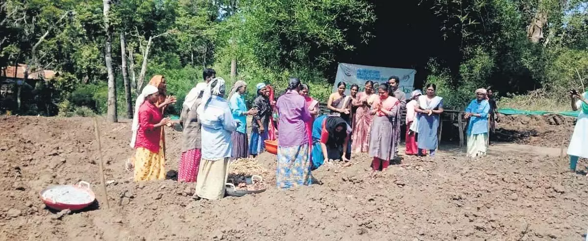 चुनौतियों के बीच उराली कुरुमा महिलाएं कंद परंपरा को संरक्षित करने के मिशन पर