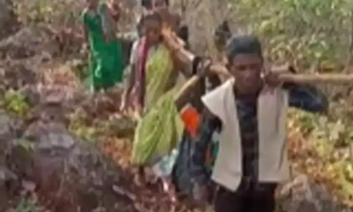 लोकतंत्र की भावना का प्रदर्शन करते हुए सुदूर आदिवासी गांव में वोट डालने के लिए महिला को डोली में ले जाया गया