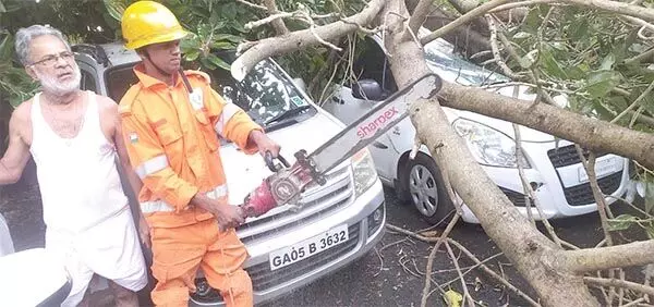 पोंडा में तेज़ बारिश ने पेड़ों को उखाड़ दिया, घरों और वाहनों को नुकसान पहुँचाया