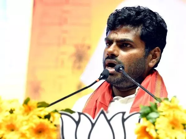 अन्नामलाई के खिलाफ आपराधिक मामले की जानकारी नहीं, कोई मंजूरी आदेश जारी नहीं: तमिलनाडु राजभवन
