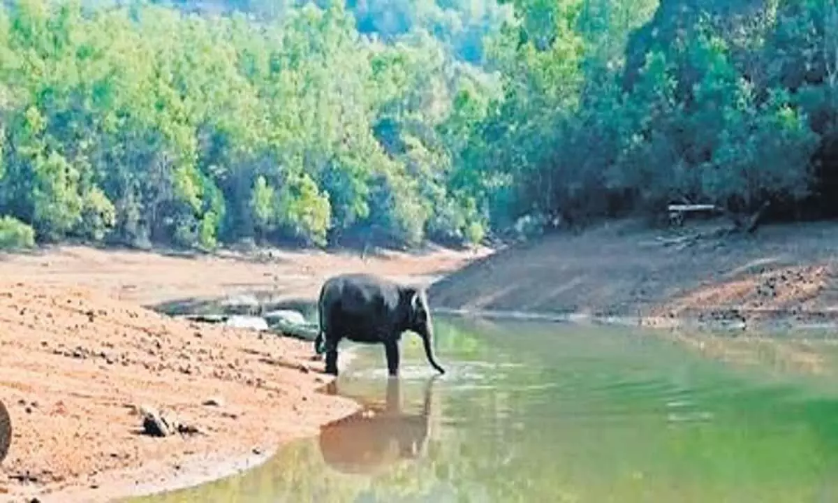 केरल ने एनजीओ की नवीन वन संरक्षण पहल की सराहना की