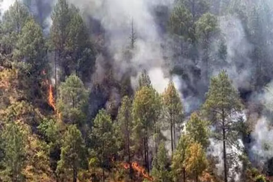 उत्तराखंड जंगल की आग: ₹10 करोड़ की मांग के मुकाबले ₹3.15 करोड़ देने पर सुप्रीम कोर्ट ने मोदी सरकार को फटकार लगाई