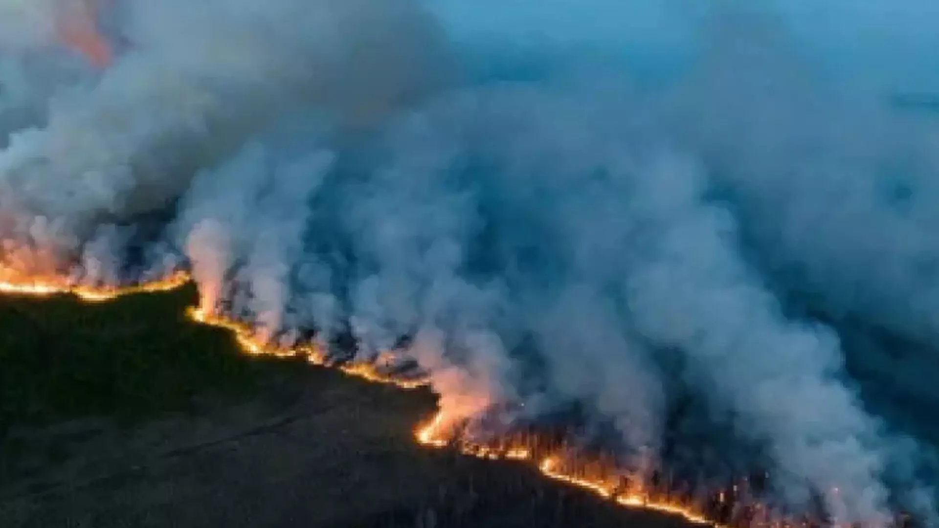 जंगल की आग से प्रभावित कनाडा से 6,600 लोगों को निकाला गया