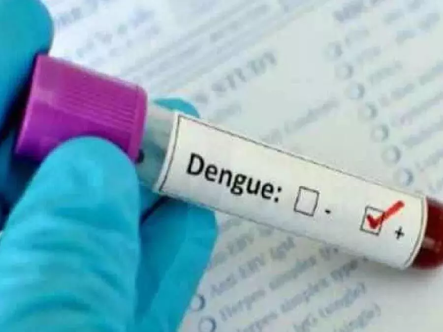 बेंगलुरू में डेंगू के मामलों में बढ़ोतरी नागरिक निकाय ने कहा घबराने की जरूरत नहीं
