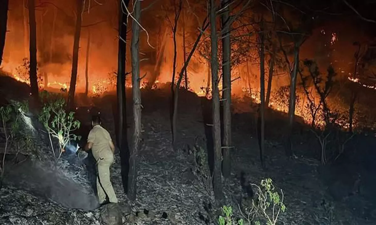 उधमपुर में जंगल में लगी आग