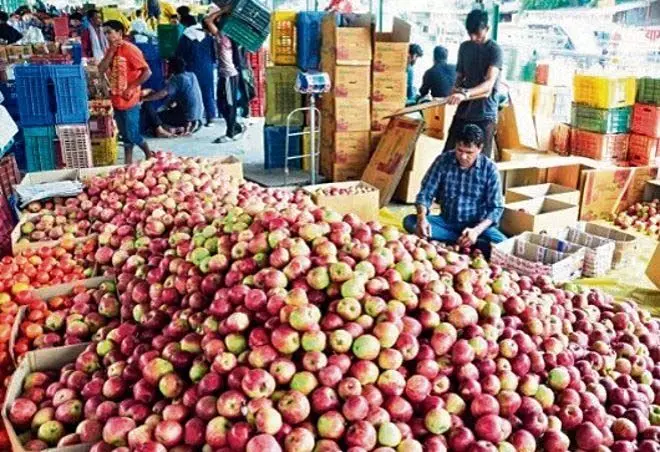 हिमाचल प्रदेश में सेब उत्पादकों तक पहुंचने में कांग्रेस आगे