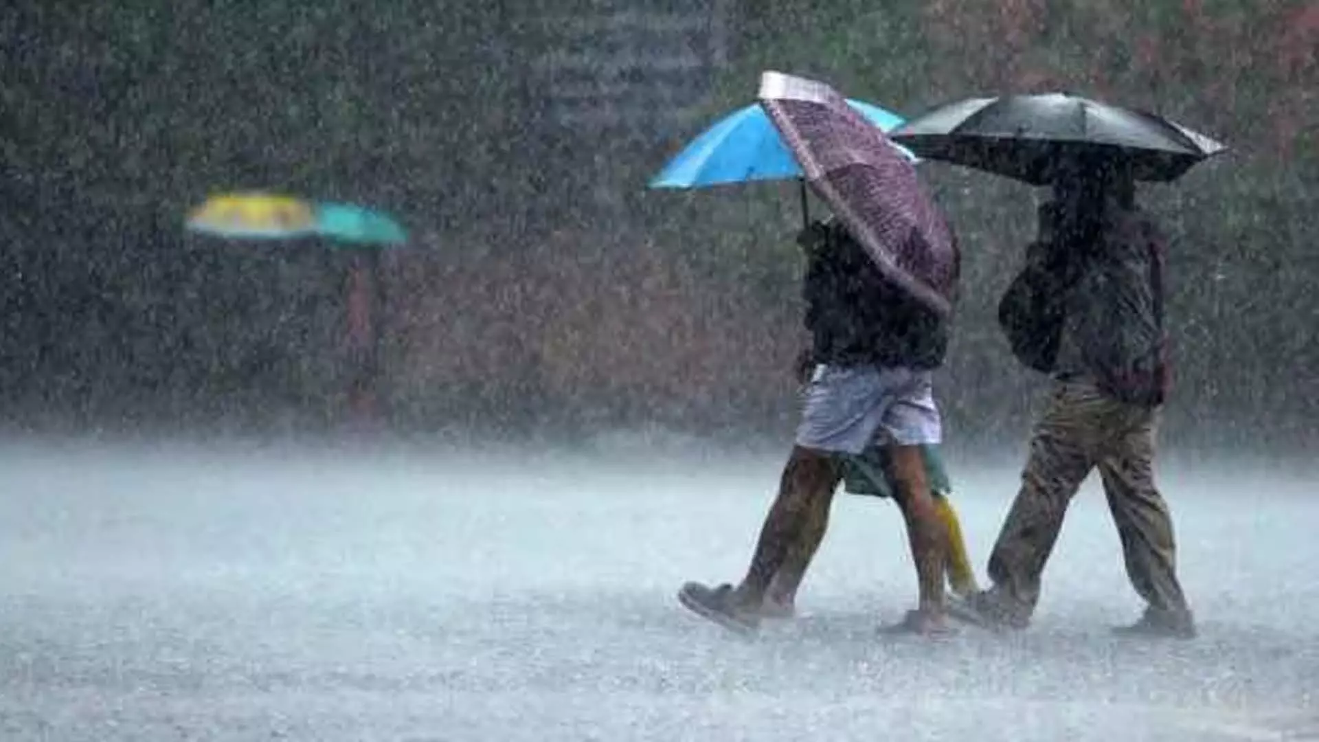 Indore : 20 जून को आएगा मानसून, मौसम विभाग के अनुसार इस बार अच्छी बारिश होगी