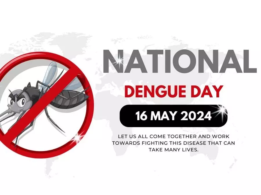 10 प्रेरक उद्धरण राष्ट्रीय डेंगू दिवस  जागरूकता फैलाने के लिए साझा करने योग्य