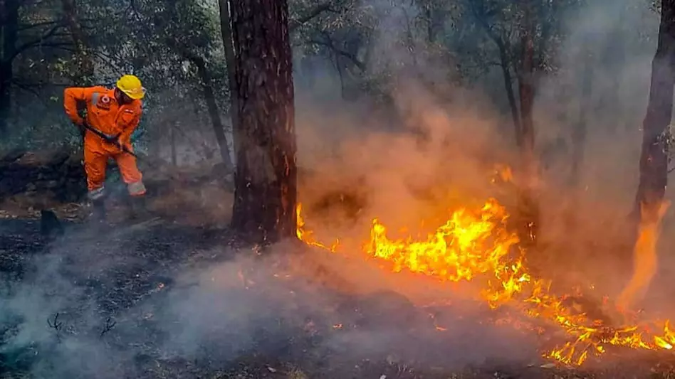 उत्तराखंड के जंगलों में लगी आग पर सुप्रीम कोर्ट ने केंद्र और राज्य सरकार को लगाई फटकार