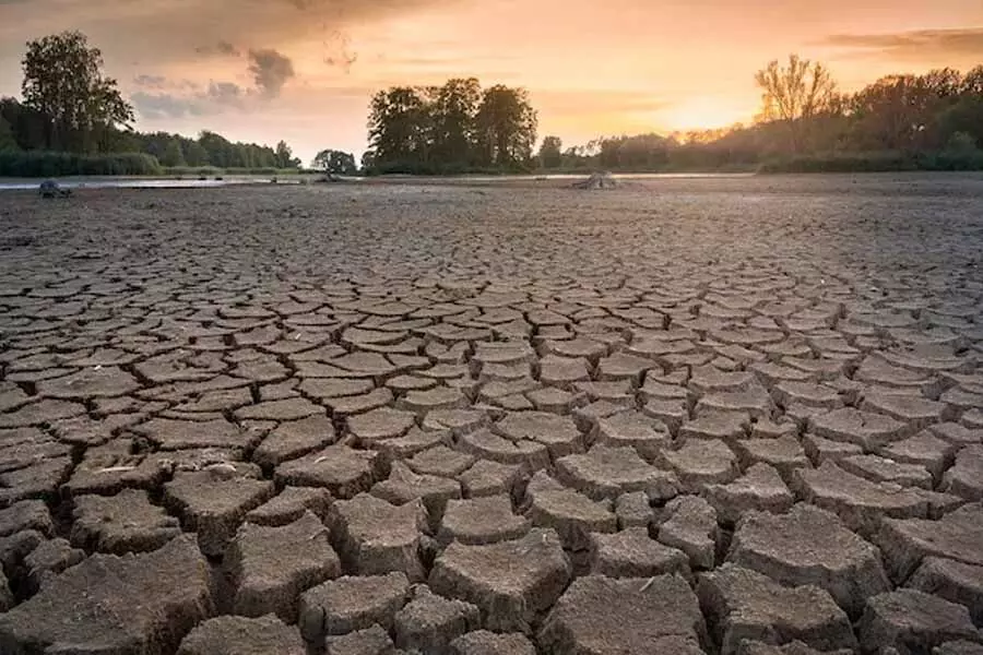 सूखाग्रस्त क्षेत्रों में पानी उपलब्ध कराने के लिए तमिलनाडु विधानसभा अध्यक्ष की बड़ी योजना