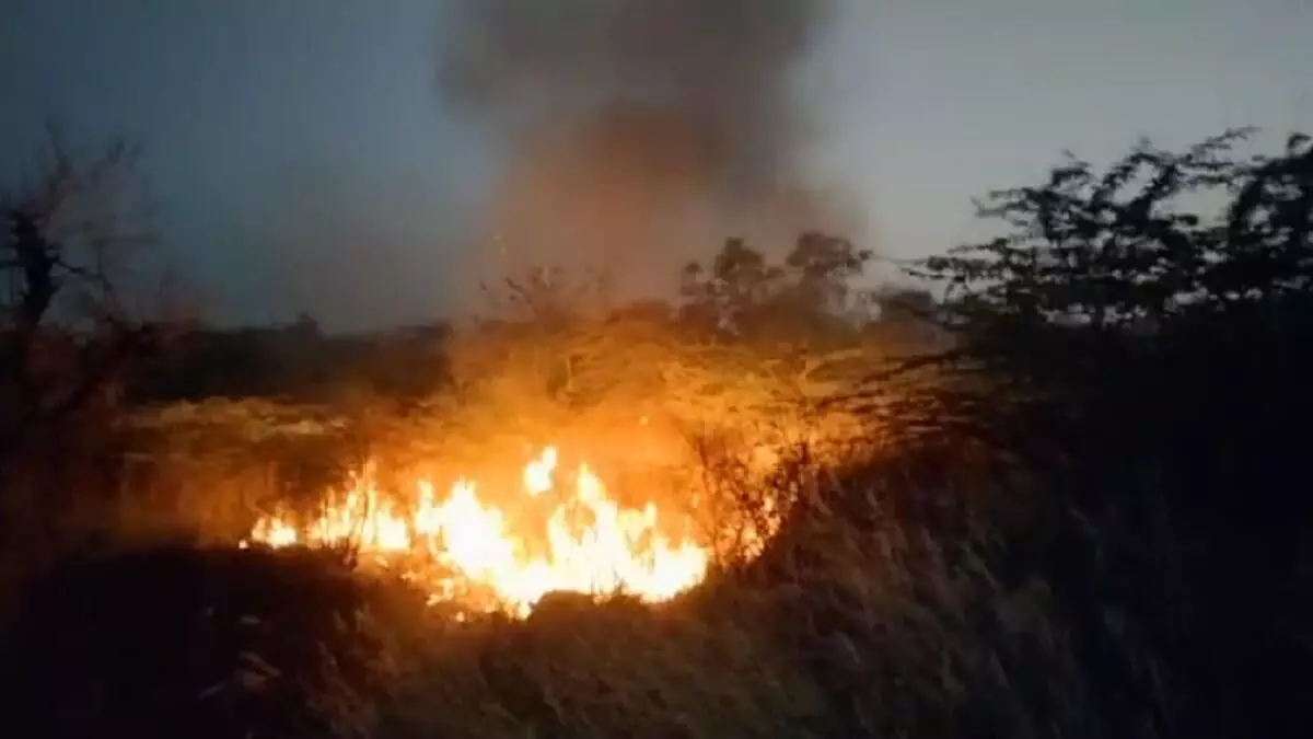 अरावली की पहाड़ियों पर लगी भीषण आग ने जंगल को जलाकर राख कर दिया