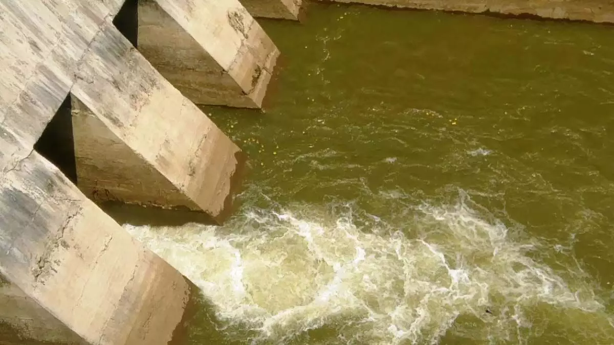 कर्नाटक ने महाराष्ट्र से कोयना बांध से पानी देने का आग्रह किया